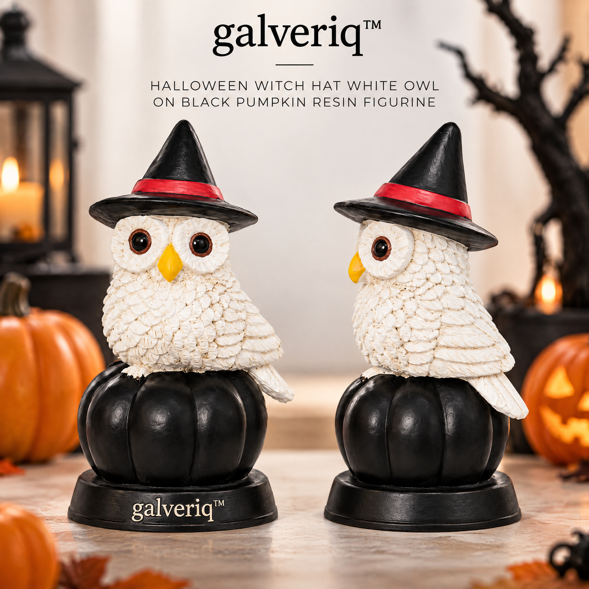galveriq™ Halloween Witch Hat White Owl on Black Pumpkin Resin Figurine